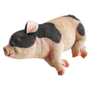 Design Toscano QM2580000 12 1/2 Inch Sleeping Pig Statue