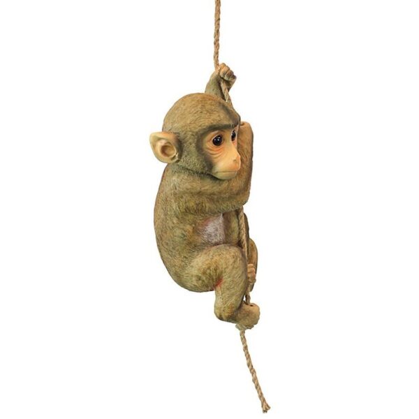 Design Toscano QM2673300 7 Inch Chico the Chimpanzee Hanging Monkey