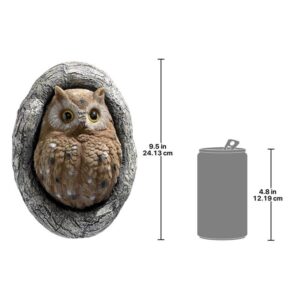 Design Toscano QM2734400 6 1/2 Inch Octavius Knot Hole Owl