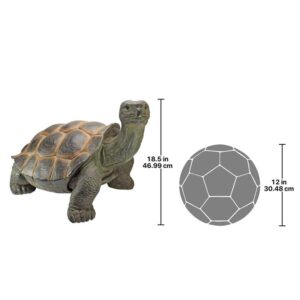 Design Toscano QM2734500 29 1/2 Inch Elephant Tortoise Statue