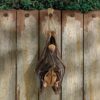 Design Toscano QM28985 6 Inch Hanging Mega Bat Sculpture