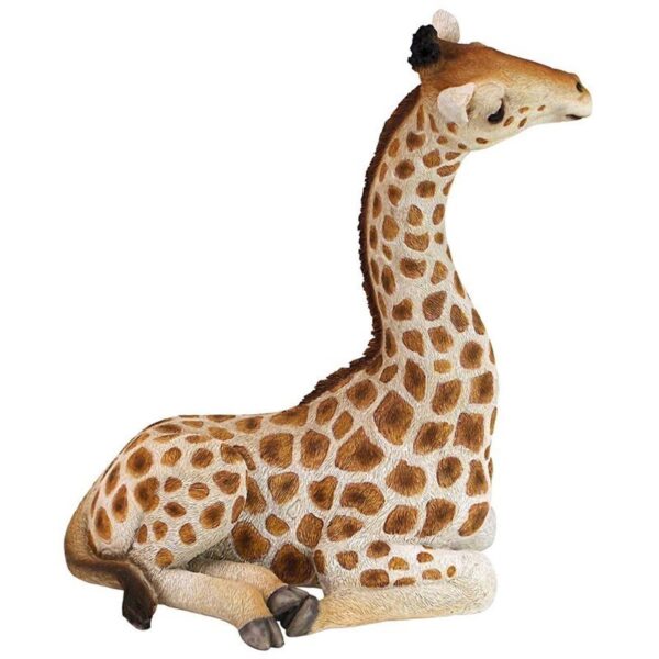 Design Toscano QM3019700 8 1/2 Inch Zari the Resting Giraffe Statue, Medium