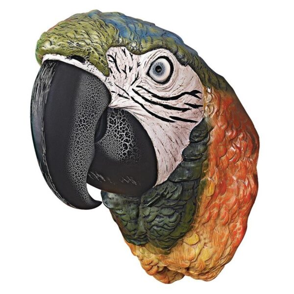 Design Toscano QS292932 7 Inch Paradise Parrot Head Plaque