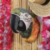 Design Toscano QS292932 7 Inch Paradise Parrot Head Plaque