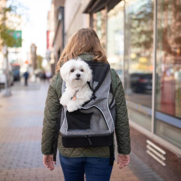 Bergan  Backpack Pet Carrier