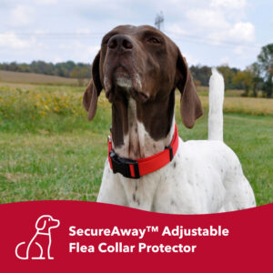 SecureAway Flea Collar Protectors