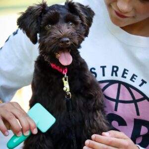 Lil Pals  Puppy Grooming Kit