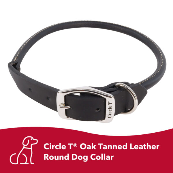 Circle T  Oak Tanned Leather Round Dog Collar