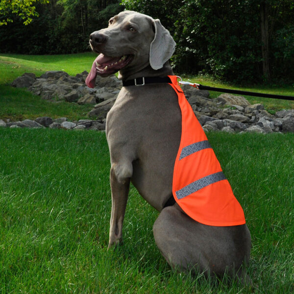 Reflective Safety Vest