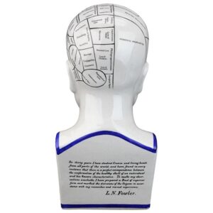 Design Toscano SP020 5 1/2 Inch Porcelain Phrenology Head