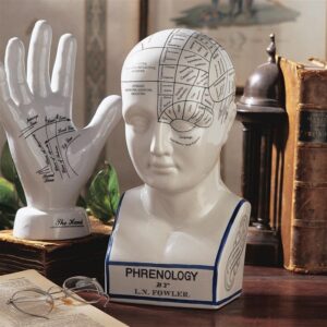 Design Toscano SP020 5 1/2 Inch Porcelain Phrenology Head