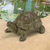 Design Toscano SP1062 10 Inch Aesops Turtle Statue