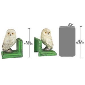 Design Toscano SP2819 3 1/2 Inch Wise Snowy Owl Cast Iron Bookend Set