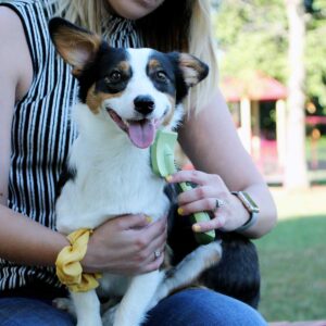 Safari  by Coastal  Dog Massage Brush