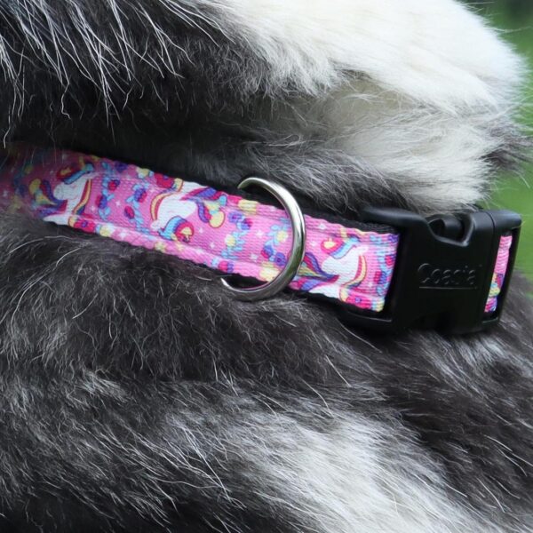 Authorized Dealer Exclusive Styles Dog Collar