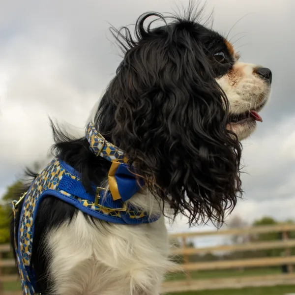 Accent Metallic Dog Collar Embellishment