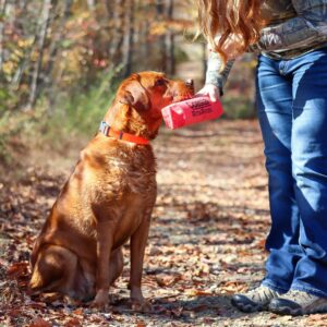 Water & Woods Adjustable Dog Collar