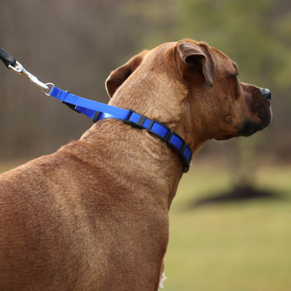 Natural Control Training Collar