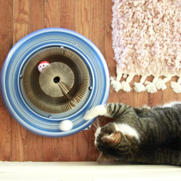 Turbo  Transform It! Cat Toys