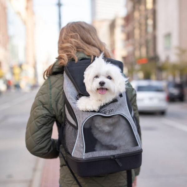 Bergan  Backpack Pet Carrier