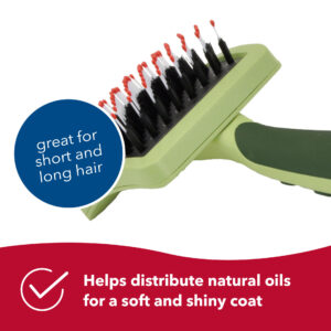 Safari  by Coastal  Complete Cat Brush