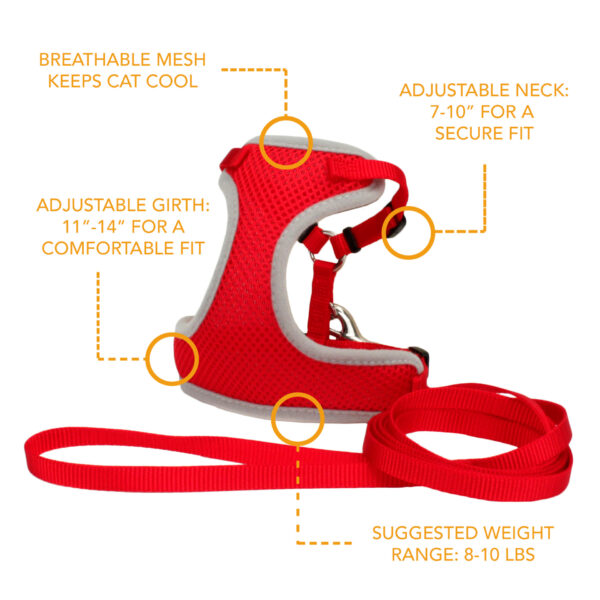 Comfort Soft  Adjustable Cat Harness with 6 Leash