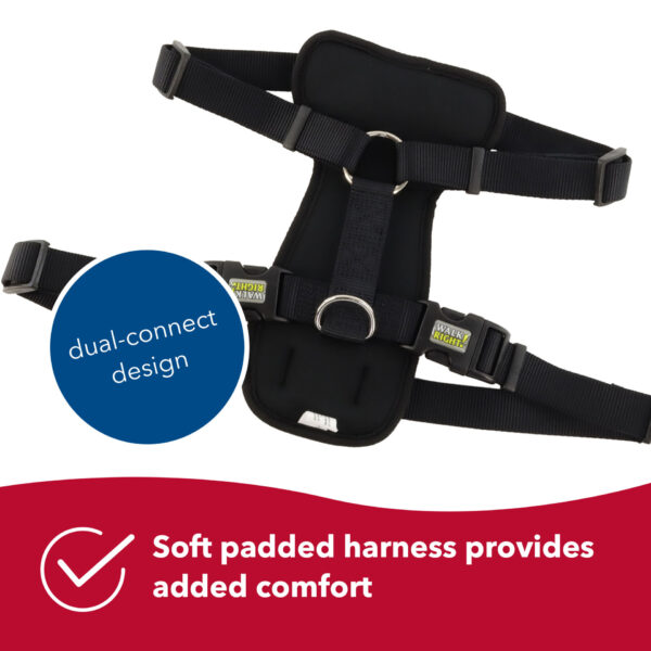 Walk Right!  Front-Connect No-Pull Padded Dog Harness