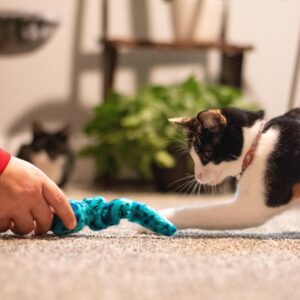 Turbo  Vibrating Cat Toys