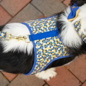 Accent Metallic Adjustable Dog Harness