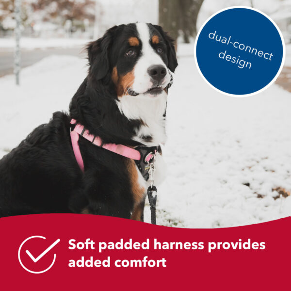 Walk Right!  Front-Connect No-Pull Padded Dog Harness