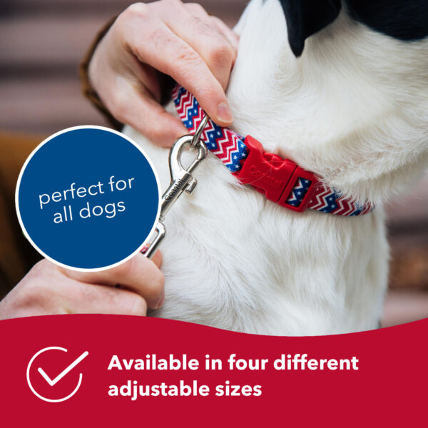 Styles Adjustable Dog Collar