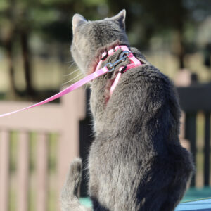 Comfort Soft  Adjustable Cat Harness