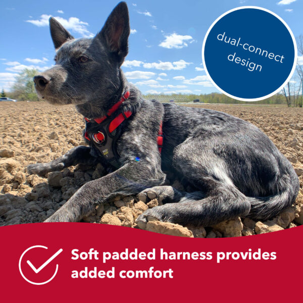 Walk Right!  Front-Connect No-Pull Padded Dog Harness