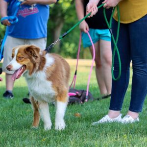 Coastal  Rope Dog Leash