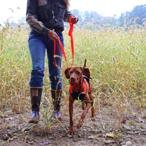 Water & Woods Dog Chest Protector